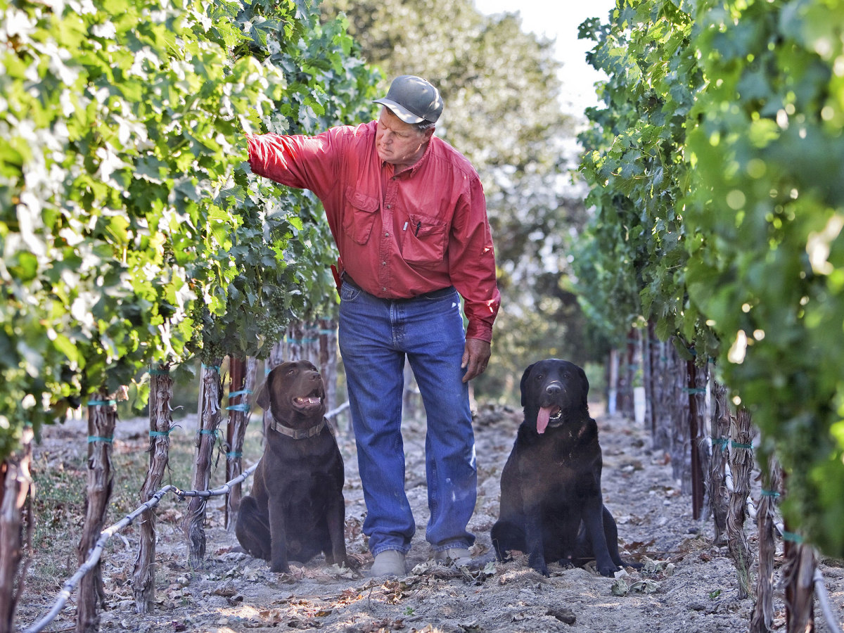 tom-seaver-vineyard